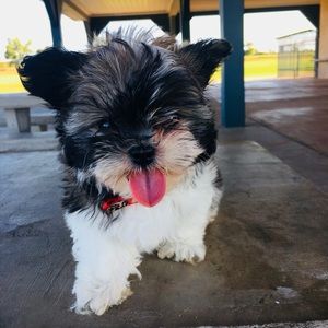 Meet your Posher, Melanie